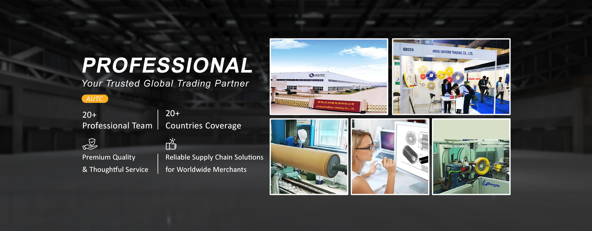 Qualität Schnee-Kehrmaschine-Bürste Fabrik