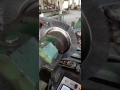 Sprial Rotary Inward Reinigung Innerer Ring Innerer SS Messing Spirale Wunde Spirale Bürsten